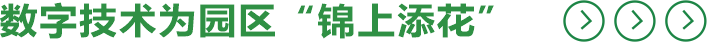 11.png